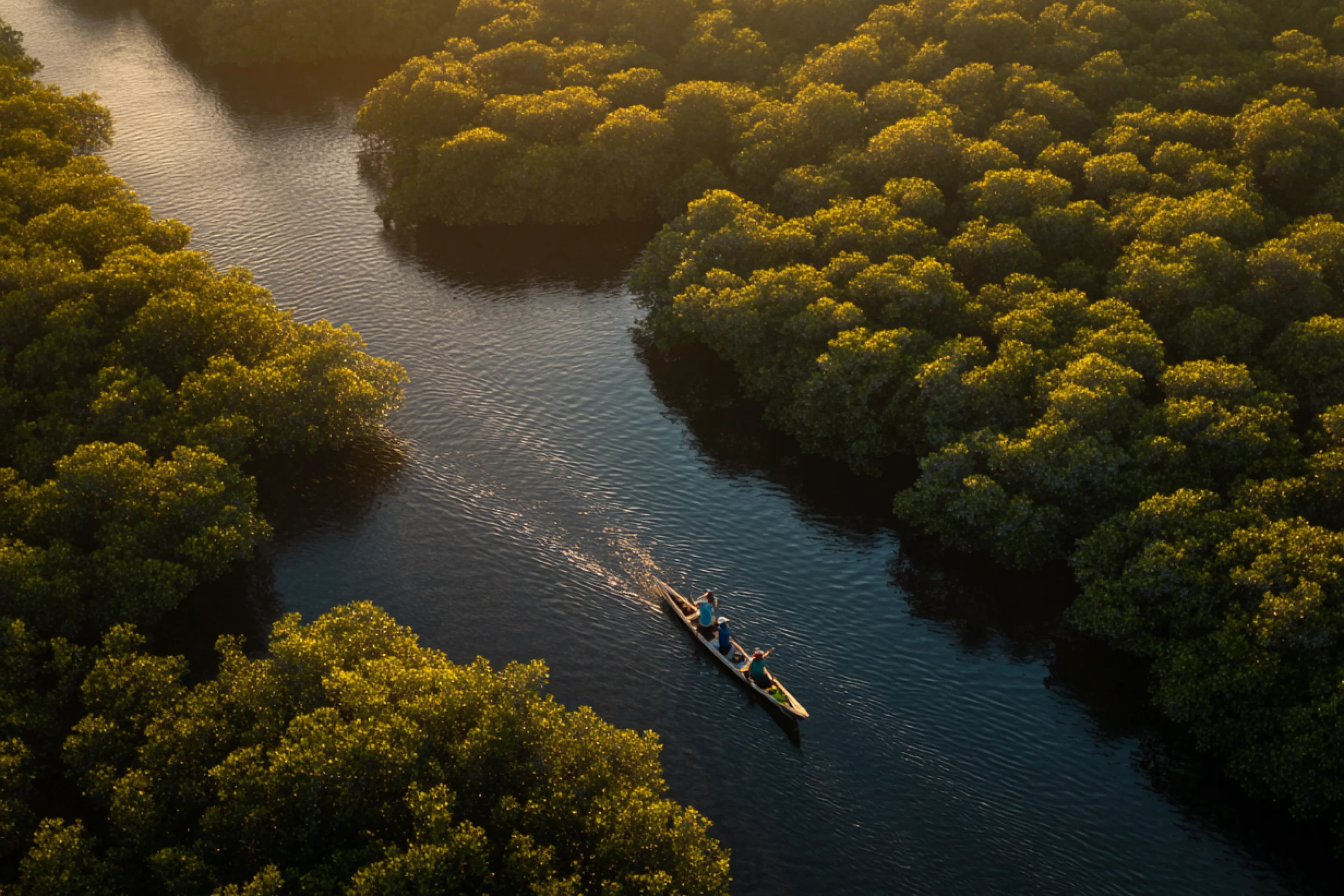El territorio como destino: Ecoturismo, oportunidad y disputa silenciosa en América Latina